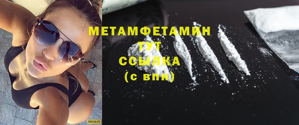 трава Няндома