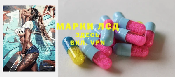 круглые Осинники