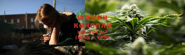 круглые Осинники