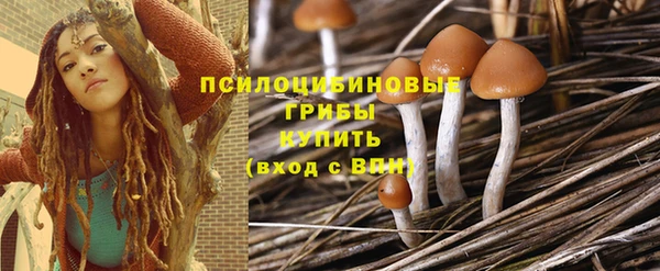 трава Няндома
