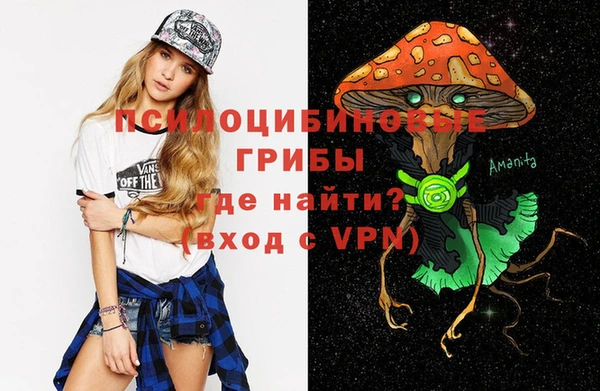 трава Няндома