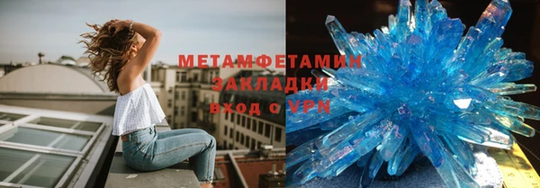 трава Няндома