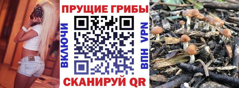 Псилоцибиновые грибы MAGIC MUSHROOMS  купить наркотик  Качканар 