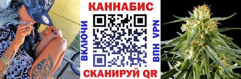 Бошки Шишки планчик  как найти наркотики  Качканар 